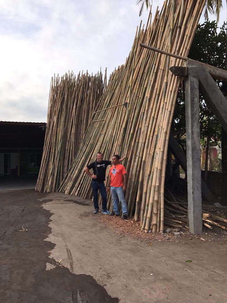 Tiges de bambou en Indonésie